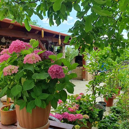 Fehér Rózsa Apartman Cserszegtomaj Extérieur photo