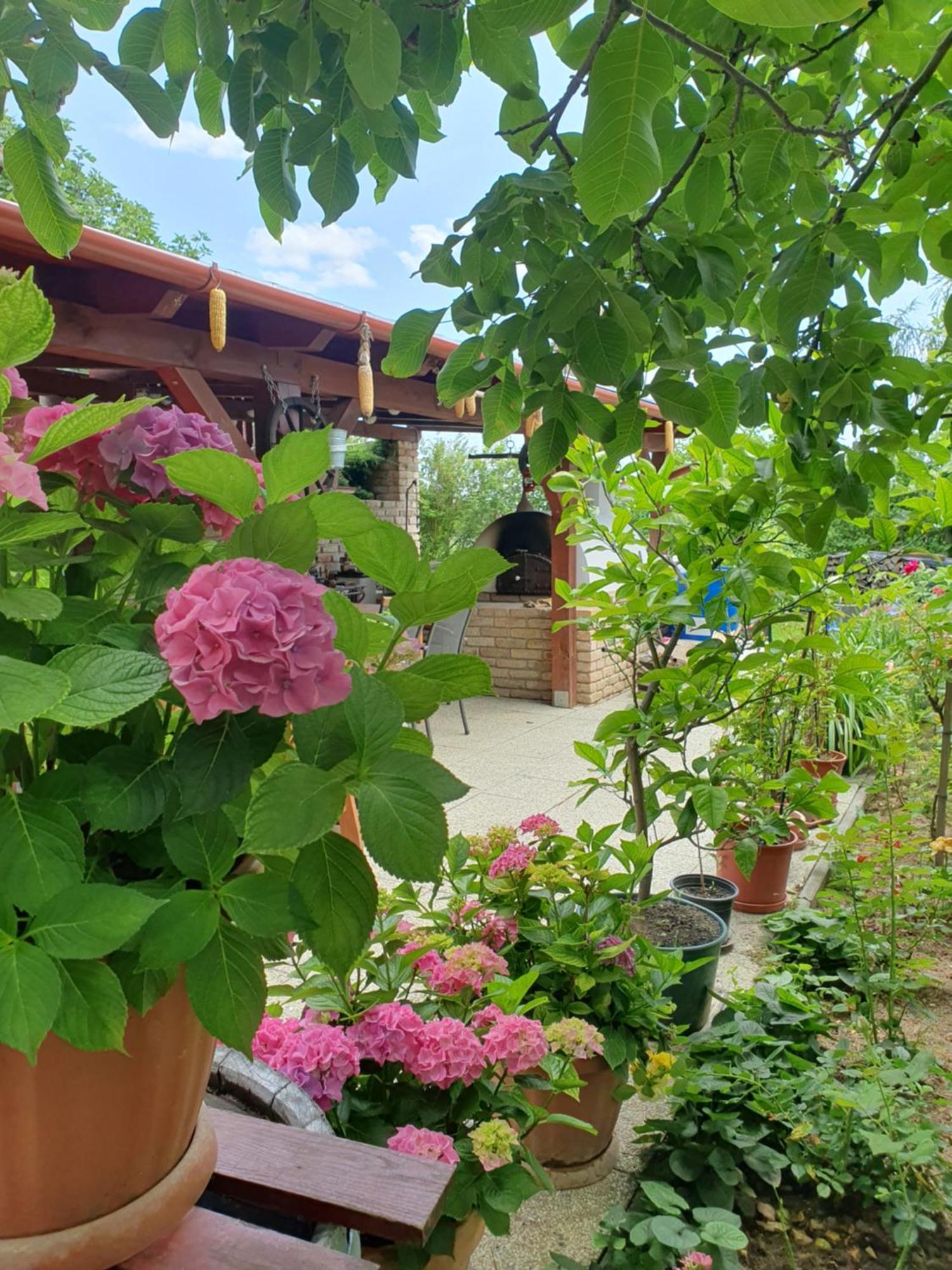 Fehér Rózsa Apartman Cserszegtomaj Extérieur photo