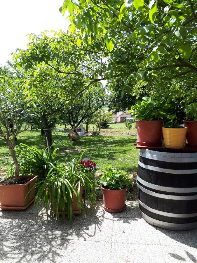 Fehér Rózsa Apartman Cserszegtomaj Extérieur photo